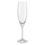 Crystalex Sophia Crystal Champ Flute 230ml - set of 6